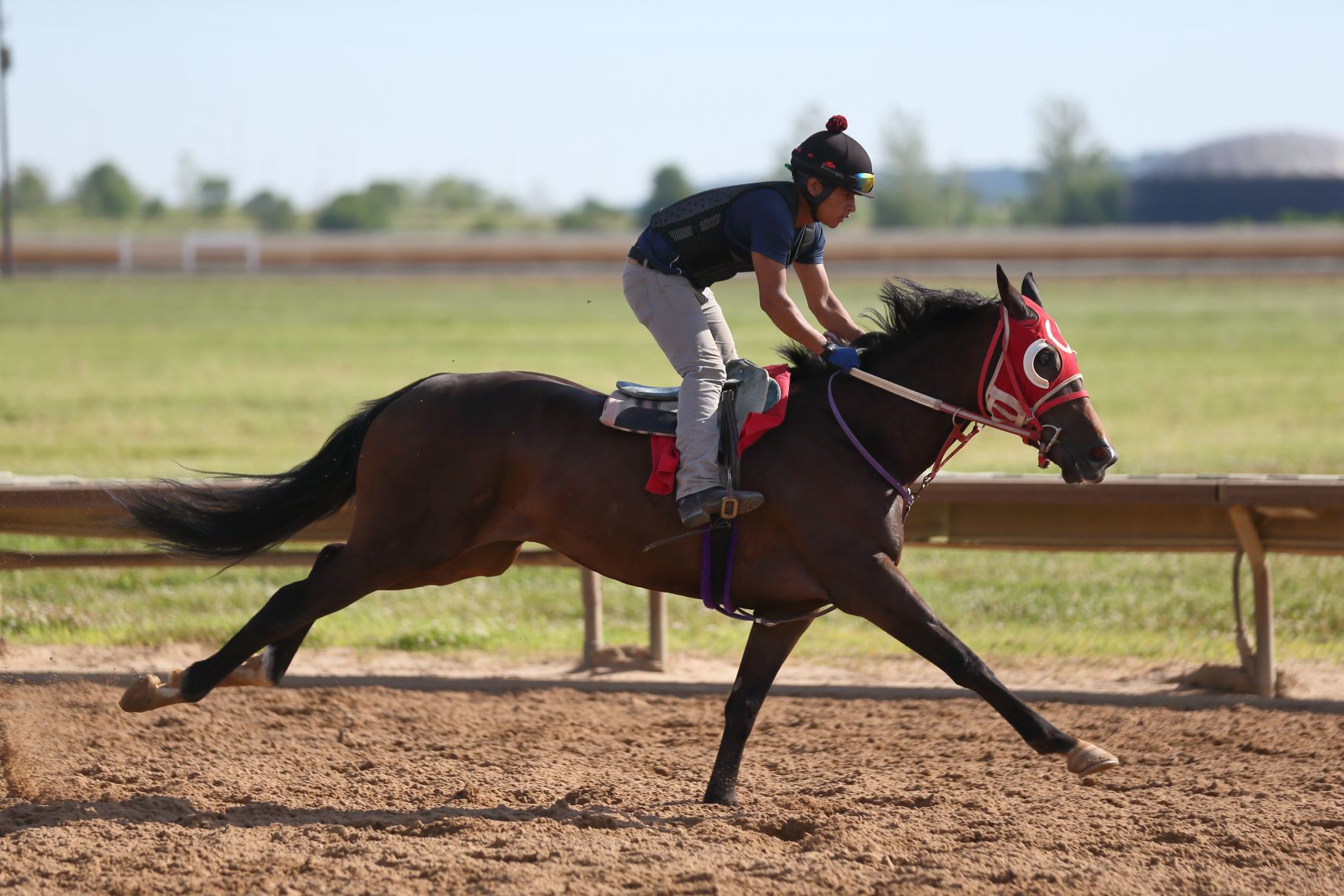 Horse racing returns to Fairmount Park